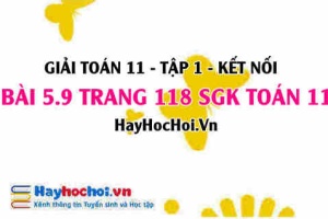 Giải bài 5.9 trang 118 Toán 11 tập 1 SGK Kết nối tri thức